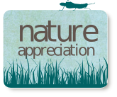 Nature Apprecation